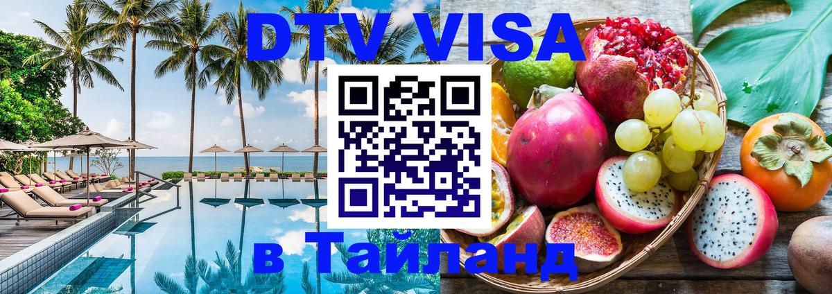 Оформление DTV визы под ключ: стоимость и тарифы, только загранпаспорт - Тирана  05.10.2025 